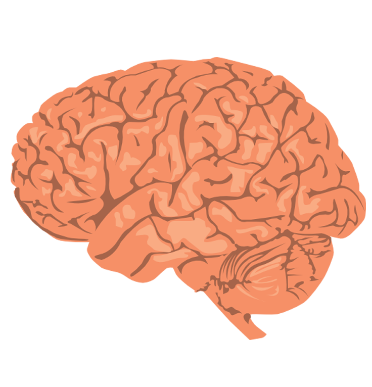Neurology-img